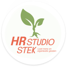 Logo HR Studio Stek
